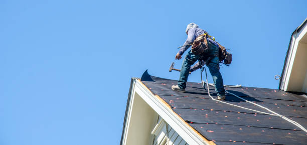 Best Roof Gutter Cleaning  in Barron, WI